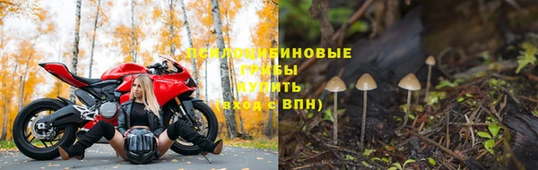 трава Алексин