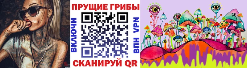 закладки  Олонец  Псилоцибиновые грибы мухоморы 